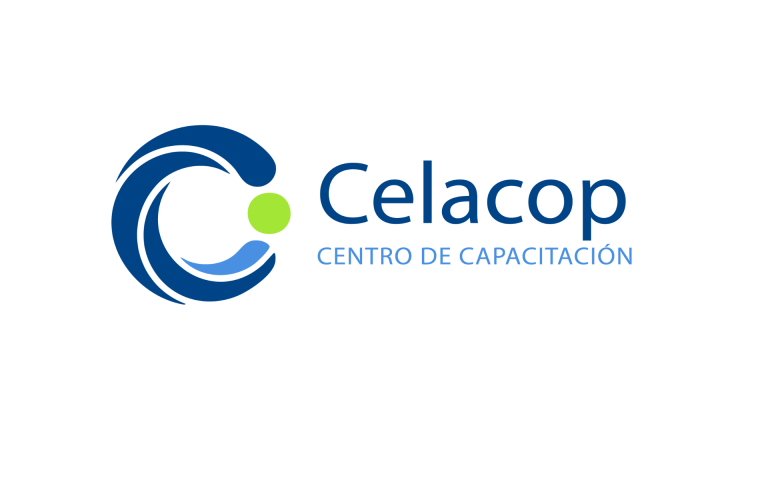 Análisis De Técnicas De Moldaje Y Hormigonado